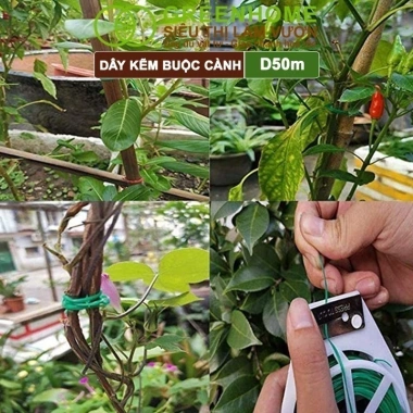 Dây Buộc Cành 20m/50m Kẽm Bọc Nhựa, Đầu Cắt Tiện Lợi, Cố Định Thân Cây - 25.000₫ 5 Dây Buộc Cành 20m/50m Kẽm Bọc Nhựa, Đầu Cắt Tiện Lợi, Cố Định Thân Cây - 25.000₫ 5