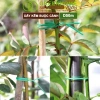 Dây Buộc Cành 20m/50m Kẽm Bọc Nhựa, Đầu Cắt Tiện Lợi, Cố Định Thân Cây - 25.000₫ 7