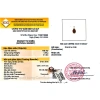Dây chuyền bạc S925 đính garnet rượu vang 5x7mm - Nữ thần tình yêu, may mắn, giá 650.000đ 4