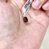 Dây chuyền bạc S925 đính garnet rượu vang 5x7mm - Nữ thần tình yêu, may mắn, giá 650.000đ 6