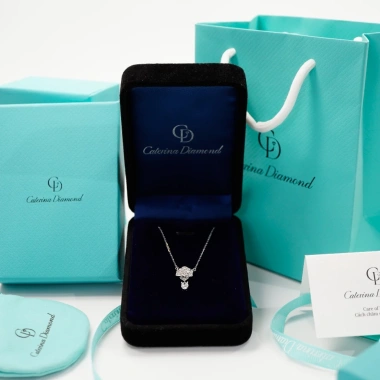Dây chuyền nữ Moissanite 0.8 Carat Caterina Rose Silver giảm giá 1.74tr 7