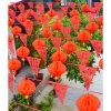 Dây cờ hỉ đỏ 150 lá 300 mét - Trang trí cưới, Tết Trung Hoa, chống nước, giá 90.000₫ 7