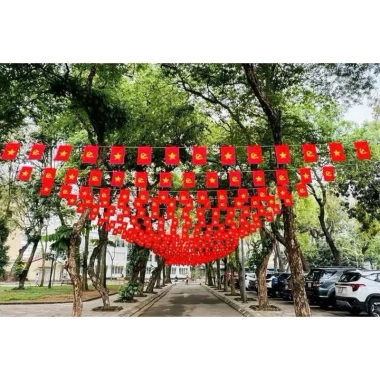 Dây Cờ Sao Vàng Đuôi Nheo Tam Giác - Trang Trí Tết Noel, Lễ Hội, Trường Học, Đền Chùa, Giá Rẻ 52.5k 2