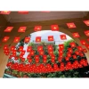 Dây Cờ Sao Vàng Đuôi Nheo Tam Giác - Trang Trí Tết Noel, Lễ Hội, Trường Học, Đền Chùa, Giá Rẻ 52.5k 3