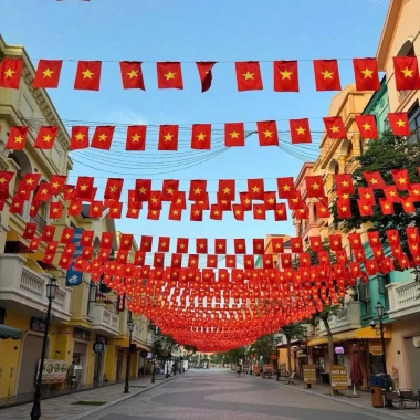 Dây Cờ Tổ Quốc & Đảng In Treo Trang Tí Sân Vườn, Quán Nước, Đường Xá - Giá 18.000₫
