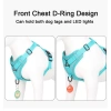 Dây dắt mèo yếm ngực chống tuột, vải lưới thoáng khí, không siết cổ, size S-XL 1.5m 6