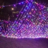 Dây Đèn LED 100m 600 Bóng 8 Chế Độ Nháy Chống Nước - Trang Trí Tết Noel Ngoài Trời, Giá 199.000₫ 9