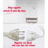 Dây Đèn LED 10m Trang Trí Tết Nguyên Đán 100 Bóng 8 Chế Độ Lung Linh 87k 9