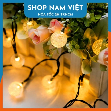 Dây Đèn LED Bóng Tròn Năng Lượng Mặt Trời Chống Nước - Trang Trí Sân Vườn Giá 135k