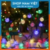 Dây Đèn LED Bóng Tròn Năng Lượng Mặt Trời Chống Nước - Trang Trí Sân Vườn Giá 135k 8