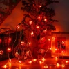Dây đèn LED cá đỏ trang trí Lễ Tết - decor nhà cửa, cắm điện, giá ưu đãi 65k 3