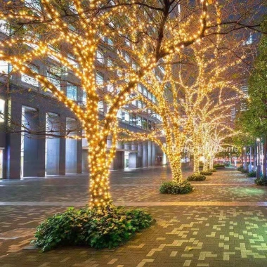Dây Đèn LED Chống Nước 20-100m Không Nháy - Trang Trí Café Ngoài Trời Giáng Sinh Cây Thông Noel 6