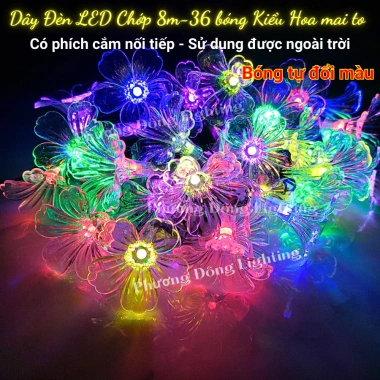 Dây đèn LED chớp 8m 36 bóng hoa mai, cắm nối tiếp, trang trí Tết, giá 70.000₫