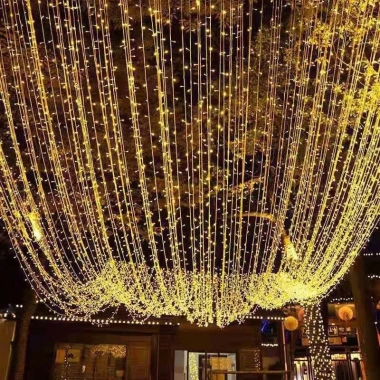 Dây Đèn LED Cuộn 100M Chống Nước, Nhiều Chế Độ - Trang Trí Ngoài Trời Noel Tết, Giá 169k 6