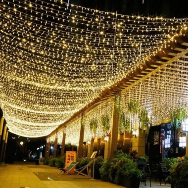Dây Đèn LED Cuộn 100M Chống Nước, Nhiều Chế Độ - Trang Trí Ngoài Trời Noel Tết, Giá 169k 7