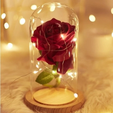 Dây đèn LED đom đóm 3m Fairy Light - Đèn trang trí tiệc, giá 3.996 VND, ánh sáng lung linh