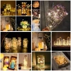 Dây đèn LED đom đóm 3m Fairy Light - Đèn trang trí tiệc, giá 3.996 VND, ánh sáng lung linh 9