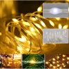 Dây đèn LED hạt gạo 10-100m chống nước, chớp nháy đa dạng, dùng ngoài trời, giá 53.000₫ 7