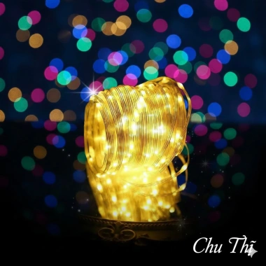 Dây Đèn LED Hạt Gạo 10m-100m Đèn Nháy Chống Nước Trang Trí Tết Cây Nhà Cửa