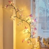 Dây Đèn LED Hình Bướm Ánh Sáng Vàng Ấm - Trang Trí Phòng Giá 99.000 VNĐ 5