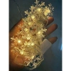 Dây Đèn Led Kim Cương 5m - Đèn Bi Bọt Ngoài Trời, Trang Trí Tết, Giá 35.000₫ 5