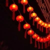 Dây Đèn LED Lồng Đèn Chữ Phúc Đỏ Thả Rèm - Chế Độ Nháy, Trang Trí Tết & Khai Trương, Giá Ưu Đãi 109.000₫ 8