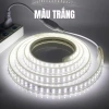 Dây đèn LED ngoài trời 30m‑5m siêu sáng 2 hàng, chống nước, kèm nguồn điều khiển - giá chỉ 73.000₫ 10
