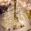 Dây Đèn LED Nguyệt Quế Vàng Nắng 10M Chỉnh Độ Đèn Rễ Cây Cây Thông Noel Giá 195k 2