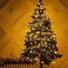 Dây đèn LED nháy 26.001 trang trí Noel, Giáng Sinh, Tết, cây thông, đào, mai, quất, ngoài trời - trong nhà – 17.000đ 8