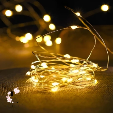 Dây Đèn LED Nháy Chớp Kim Cương 20-50m Trang Trí Cây Thông Noel Tết Ngoài Trời 50k 4