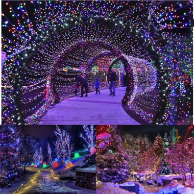 Dây đèn LED nháy đa màu 10-100m, chớp 10m/20m/30m/50m/100m - Trang trí cây, nhà, sân vườn, giảm giá 60.000đ