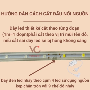 Dây đèn LED SMD2.835 bọc nhựa sắc màu 5‑30m chống nước, tặng nguồn 220V, hắt trần