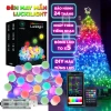 Dây Đèn LED Thông Minh 16 Triệu Màu Noel Tết Nháy Theo Nhạc App Remote 100k 10