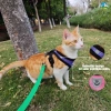 Dây đeo ngực bảo vệ lưới thoáng khí cho chó con & mèo - phù hợp Narry, Poodle, Corgi, Teddy, Bichon, Pomeranian 2