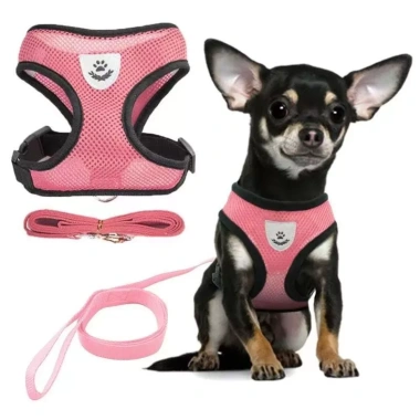 Dây đeo ngực bảo vệ lưới thoáng khí cho chó con & mèo - phù hợp Narry, Poodle, Corgi, Teddy, Bichon, Pomeranian 3