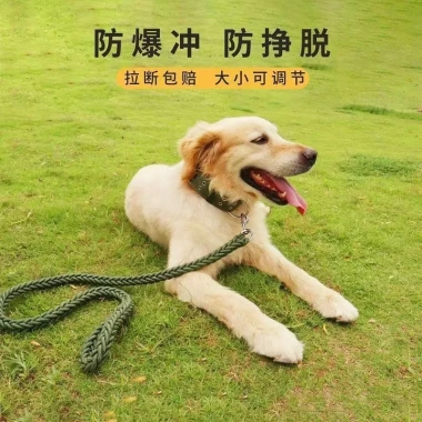 Dây đeo ngực xích chó cỡ trung bình - Chống cháy nổ, thoáng khí, thích hợp đi chơi lớn 3