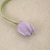 Dây đeo rèm hoa Tulip YITAQI - Điều chỉnh thời trang, khóa rèm đẹp cho phòng khách 6