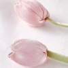 Dây đeo rèm hoa Tulip YITAQI - Điều chỉnh thời trang, khóa rèm đẹp cho phòng khách 7