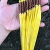 Dây full adam vàng 0,65mm dài 25cm kéo dài, full tay - Giá chỉ 90.000đ, hàng sịn 6