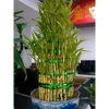 Dây kẽm buộc 8-10cm nhiều màu - Đa năng cho túi kẹo, bánh mì, gói quà, lan cây cảnh - 13.000 VND 4