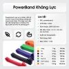 Dây kháng lực band tập gym - hỗ trợ kéo xà, tập mông, yoga, nam nữ, giá 22.000đ 3