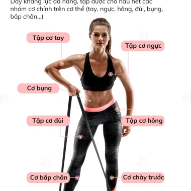 Dây Kháng Lực Đa Năng Aolikes AL3.602 Power Band Cao Su Gym Toàn Thân Giá 99.000đ 6 Dây Kháng Lực Đa Năng Aolikes AL3.602 Power Band Cao Su Gym Toàn Thân Giá 99.000đ 6