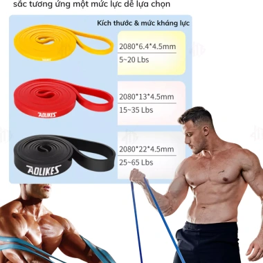 Dây Kháng Lực Đa Năng Aolikes AL3.602 Power Band Cao Su Gym Toàn Thân Giá 99.000đ