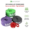 Dây Kháng Lực Đa Năng MIXSPORT Powerband - Hỗ Trợ Tập Luyện Thân, Giá Ưu Đãi 17.874₫