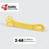 Dây Kháng Lực Haru Powerband HR17 Đa Năng – Tập Toàn Thân Tại Nhà, Nhiều Lực, Giá Chỉ 30.000₫ 10