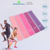 Dây Kháng Lực MiniBand X101 Sportslink - Tập Chân, Mông Đùi, Giá 17.640 VND 9