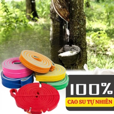 Dây kháng lực Powerband S2.080 - Không đứt, hỗ trợ gym, yoga, kéo xà - Chỉ 29.000₫