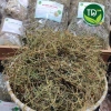Dây khổ qua rừng sấy khô loại 1 500g-1kg - ổn định đường huyết, giảm gout, hạ men gan - Giá ưu đãi 69.898₫ 2