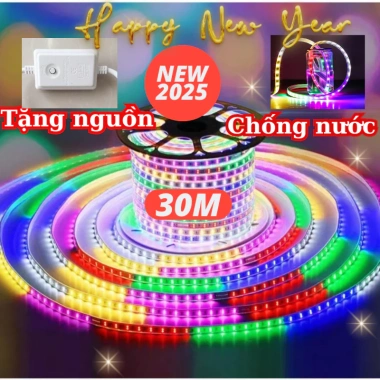 Dây LED 100M 2.835 Chống Nước Nhiều Màu Đèn Trang Trí Noel Giáng Sinh Tết Giá 74.999₫ 3
