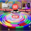 Dây LED 100M 2.835 Chống Nước Nhiều Màu Đèn Trang Trí Noel Giáng Sinh Tết Giá 74.999₫ 10